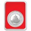 2020 China 30 gram Silver Panda (Chinese New Year, In TEP)