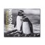 2020 New Zealand 1 oz Silver Chatham Island Crested Penguin BU