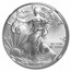 2020 (P) American Silver Eagle MS-70 NGC