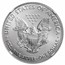 2020 (P) American Silver Eagle MS-70 NGC
