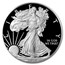 2020-S 1 oz Proof American Silver Eagle PR-70 PCGS (FDI)