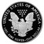 2020-S 1 oz Proof American Silver Eagle PR-70 PCGS (FirstStrike)