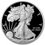 2020-S 1 oz Proof American Silver Eagle PR-70 PCGS (FirstStrike)