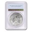 2020 (S) American Silver Eagle MS-70 PCGS (FirstStrike®)