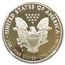 2020-S Proof American Silver Eagle PF-69 NGC