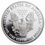 2020-S Proof American Silver Eagle PF-70 NGC