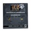 2020 Sierra Leone 2 oz Silver £20 High Relief Big Cats: Panther