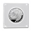 2020 Sierra Leone 2 oz Silver £20 High Relief Big Cats: Panther