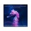 2020 Solomon Islands 1 oz Silver $2 Giant Seahorse