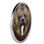 2020 Tanzania 2 oz Silver Rare Wildlife Proof: Grizzly Bear