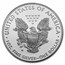 2020-W 1 oz Proof American Silver Eagle (End of WW2, V75 Privy)