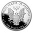 2020-W 1 oz Proof American Silver Eagle (w/Box & COA)