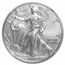 2020-W Burnished American Silver Eagle MS-70 NGC