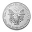2020-W Burnished American Silver Eagle (w/Box & COA)