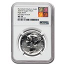 2020-W Burnished Palladium Eagle MS-70 NGC (FDI)