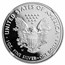 2020-W Proof American Silver Eagle PF-69 NGC (V75 Privy)