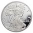 2020-W Proof American Silver Eagle PF-69 NGC
