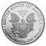 2020-W Proof American Silver Eagle PF-70 NGC (FDI, V75, Mercanti)