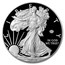 2020-W Proof American Silver Eagle PR-70 PCGS (FDI, V75 Privy)