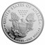 2020-W Proof Silver Eagle PR-69 PCGS (FDI, V75 Privy, WW2 Label)