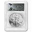 2020-W Proof Silver Eagle PR-69 PCGS (FDI, V75 Privy, WW2 Label)