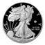 2020-W Proof Silver Eagle PR-70 PCGS (FDI, V75 Privy, WW2 Label)