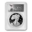 2020-W Proof Silver Eagle PR-70 PCGS (FDI, V75 Privy, WW2 Label)