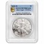 2020-W Proof Silver Eagle PR-70 PCGS (V75 Privy)