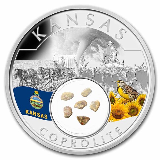 2021 1 oz Ag Treasures of the U.S. Kansas Coprolite (Colorized) 2021 1 oz Ag Treasures of the U.S. Kansas Coprolite (Colorized)