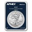 2021 1 oz American Silver Eagle (Type 2) (MintDirect® Single)