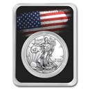 2021 1 oz Silver American Eagle - w/American Flag Card