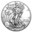 2021 1 oz Silver Eagles (Type 1) (MD Premier + PCGS FS Tube)