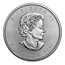 2021 100-Coin Silver Maple Mini Monster Box(MD Premier + PCGS FS)