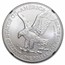 2021 American Silver Eagle (Type 2) MS-70 NGC (FDI, Gaudioso)