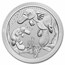 2021 AUS 10 oz Silver Platypus Next Generation BU (Piedfort)