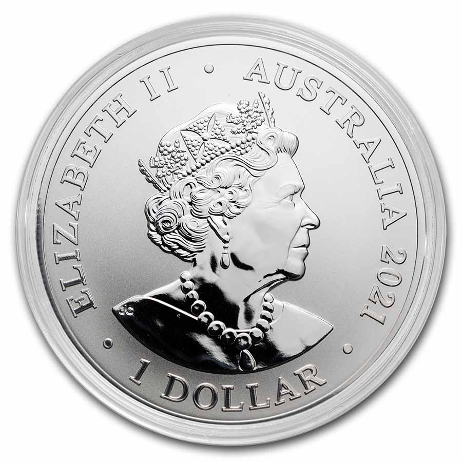 2021 オーストラリア　ドルフィン　１オンス銀貨BU カプセル入り　側面に白色 Buy 2021 Australia 1 oz Silver $1 Fraser's Dolphin BU | APMEX