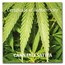 2021 Benin 1 oz Silver High Relief Cannabis Sativa Gilded-Dmg Box