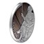 2021 Cameroon 3 oz Antique Silver Planets and Gods; Saturn