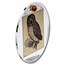 2021 Cameroon Silver Albrecht Dürer: Little Owl