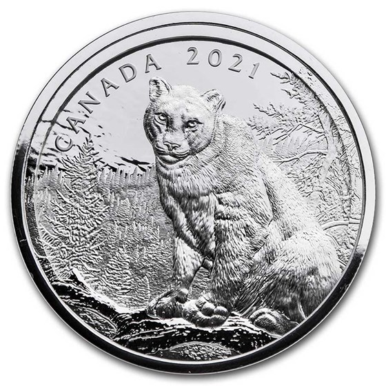 2021 Canada Silver $50 Multilayered Cougar