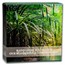 2021 Palau 2 oz Silver Proof Our Earth (Rainforest Ecosystems)