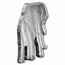 2021 PAMP 1 oz Silver $2 Animals of Africa: Elephant