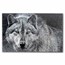 2021 RCM 10 oz Silver $100 Robert Bateman Wolf Sketch Proof