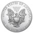 2021 (S) 1 oz American Silver Eagles (20-Coin MintDirect® Tube)