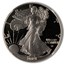 2021-S American Silver Eagle (Type 2) PF-70 NGC (FDI)