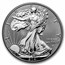 2021 Silver Eagle 2-Coin Designer Reverse Proof Set (w/Box & COA)