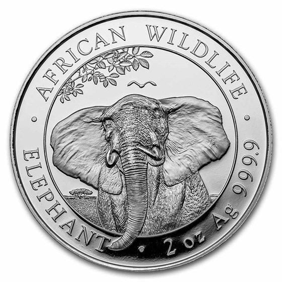 2021 Somalia 2 oz Silver Elephant BU 2021 Somalia 2 oz Silver Elephant BU