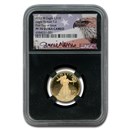 2021-W 1/4 oz Pf Gold Eagle (Type 2) PF-70 UCAM NGC (FDI, Norris) 2021-W 1/4 oz Pf Gold Eagle (Type 2) PF-70 UCAM NGC (FDI, Norris)