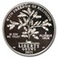 2021-W 1 oz Proof Platinum Eagle PR-70 PCGS (FDI, Magnum Opus)