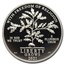 2021-W 1 oz Proof Platinum Eagle PR-70 PCGS
